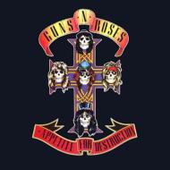 GUNS N' ROSES / APPETITE FOR DESTRUCTION